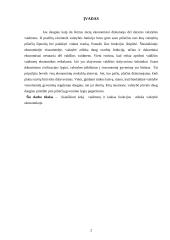 Vyriausybės vaidmuo ir funkcijos ekonomikoje 2 puslapis