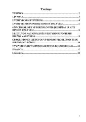 Vyriausybės vertybinių popierių ekonominė reikšmė 2 puslapis