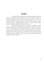 Vyriausybės vertybinių popierių ekonominė reikšmė 17 puslapis