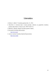 Vyriausybės vertybinių popierių ekonominė reikšmė 18 puslapis
