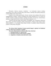 Virpesiai 2 puslapis