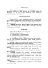 Virškinimo organų sistemos ligos 8 puslapis