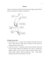 Viršutinių galūnių amputacija 8 puslapis