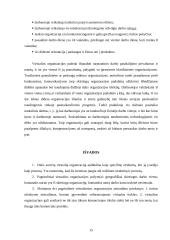 Virtuali organizacija 13 puslapis