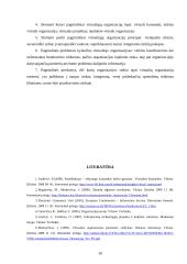 Virtuali organizacija 14 puslapis