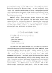 Virtuali organizacija 6 puslapis