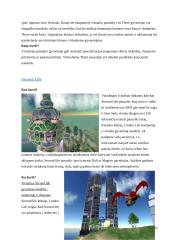 Virtualus pasaulis - nauja kūrybos erdvė 12 puslapis