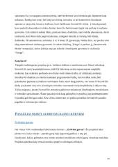 Virtualus pasaulis - nauja kūrybos erdvė 14 puslapis