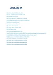 Virtualus pasaulis - nauja kūrybos erdvė 18 puslapis