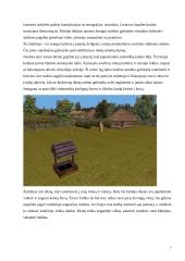 Virtualus pasaulis - nauja kūrybos erdvė 7 puslapis