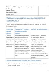 Virtualus pasaulis - nauja kūrybos erdvė 9 puslapis