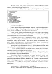 Visuminė paklausa ir pasiūla 12 puslapis