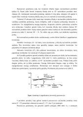 Visuminė paklausa ir pasiūla 14 puslapis
