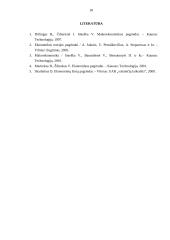 Visuminė paklausa ir pasiūla 17 puslapis