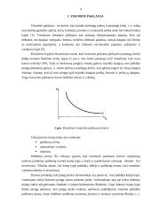 Visuminė paklausa ir pasiūla 3 puslapis