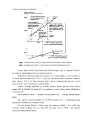Visuminė paklausa ir pasiūla 6 puslapis