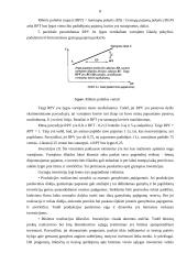 Visuminė paklausa ir pasiūla 7 puslapis