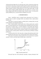 Visuminė paklausa ir pasiūla 9 puslapis