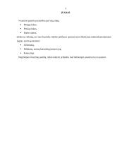 Visuminė pasiūla. Visuminės pasiūlos struktūra 2 puslapis