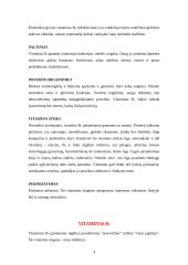 Vitaminai ir jų poveikis organizmui 4 puslapis