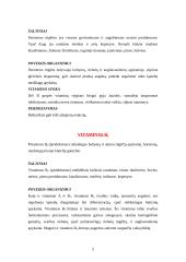 Vitaminai ir jų poveikis organizmui 5 puslapis