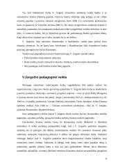 Vladas Jurgutis 7 puslapis