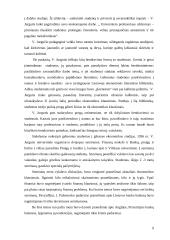 Vladas Jurgutis 8 puslapis