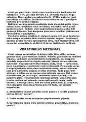 Vorai ir voratinklio mezgimas 2 puslapis