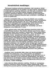 Vorai ir voratinklio mezgimas 3 puslapis