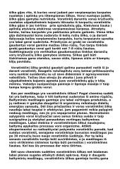 Vorai ir voratinklio mezgimas 4 puslapis