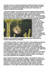 Vorai ir voratinklio mezgimas 6 puslapis