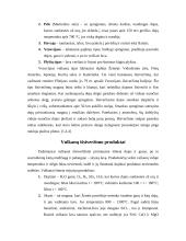 Vulkanai ir vulkaninės uolienos 7 puslapis