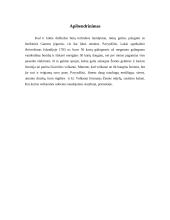 Vulkanai ir vulkaninės uolienos 9 puslapis