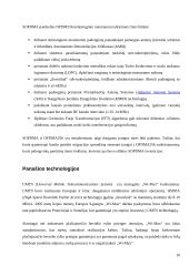 Wi-Max plėtra 16 puslapis