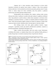 XVIII – XIX amžiaus mąstytojai ir jų darbų įtaka vadybos mokslui 12 puslapis