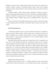 XVIII – XIX amžiaus mąstytojai ir jų idėjos 12 puslapis