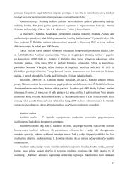 XVIII – XIX amžiaus mąstytojai ir jų idėjos 13 puslapis