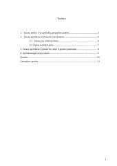 Zarasų miesto ir jo apylinkių įvertinimas ekologiniu aspektu 2 puslapis