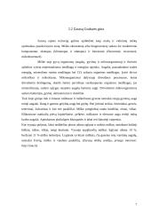 Zarasų miesto ir jo apylinkių įvertinimas ekologiniu aspektu 7 puslapis