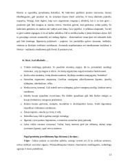 Žalingi įpročiai 13 puslapis