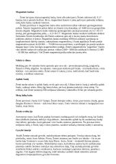 Žemės charakteristika 4 puslapis