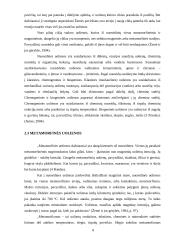 Žemės vidaus sandara. Uolienos 6 puslapis