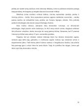 Žiniomis grįstos ekonomikos plėtra Lietuvoje 17 puslapis