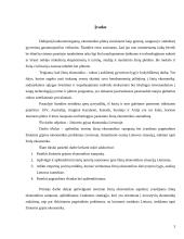 Žiniomis grįstos ekonomikos plėtra Lietuvoje 2 puslapis