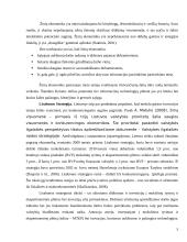 Žiniomis grįstos ekonomikos plėtra Lietuvoje 4 puslapis