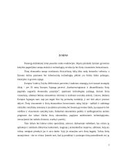 Žinių ekonomikos formavimosi būdai Lietuvoje 3 puslapis