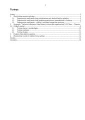 Žinių kūrimas ir veiksniai, darantys įtaką žinių kūrimui ir inovacijai organizacijoje 2 puslapis