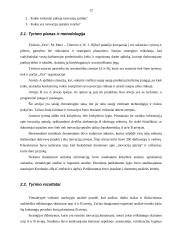 Žinių kūrimas ir veiksniai, darantys įtaką žinių kūrimui ir inovacijai organizacijoje 12 puslapis