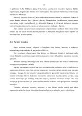 Žinių kūrimas ir veiksniai, darantys įtaką žinių kūrimui ir inovacijai organizacijoje 13 puslapis