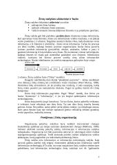 Žinių vadybos uždaviniai 3 puslapis